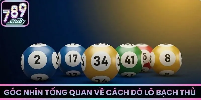 Góc nhìn tổng quan về cách dò lô bạch thủ