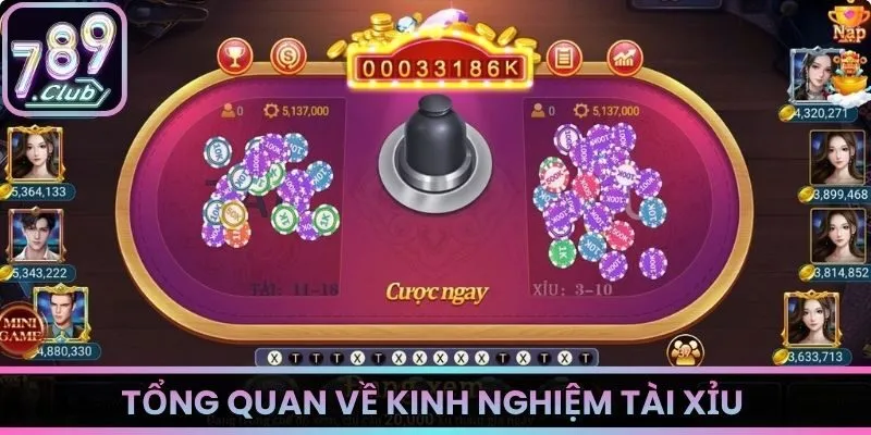 Tổng quan về kinh nghiệm tài xỉu
